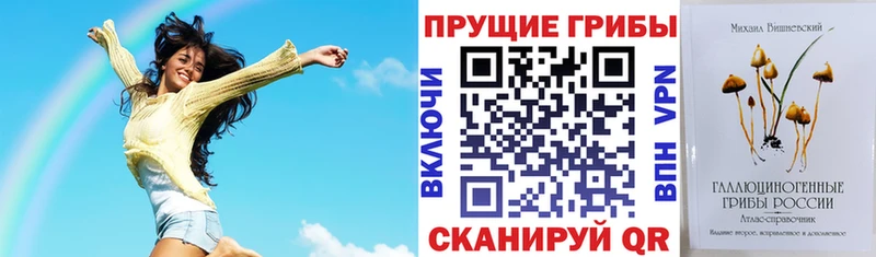 Галлюциногенные грибы Psilocybine cubensis  Кострома 