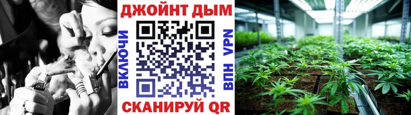 Каннабис Amnesia Кострома